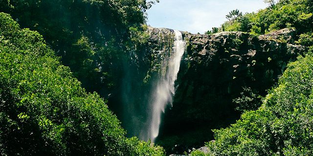 Hiking trip tamarind falls half day (14)